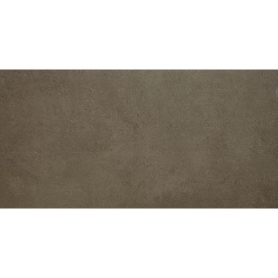 Porcelanato Foster Savanna 30x60(1