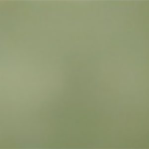 Porcelanato Verde Mate S689 Rectificado 60x60(1