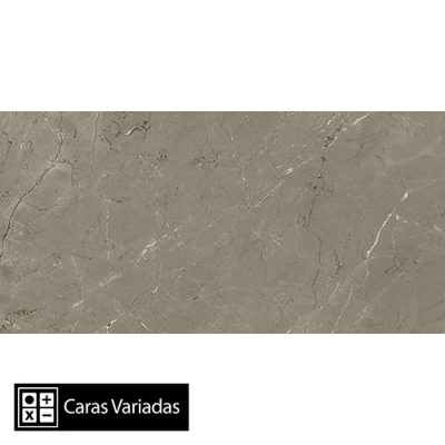 Porcelanato Delco Dark (Carving) 5Caras Rectificado 60x120(1,44)