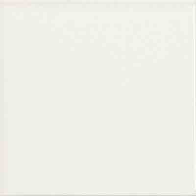 Blanco Brillo 15x15(1,0)